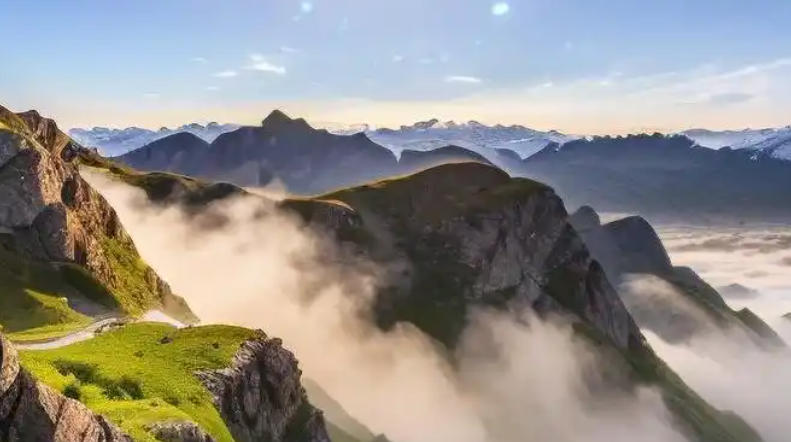 杭州心理咨询信息有限公司轮播图2